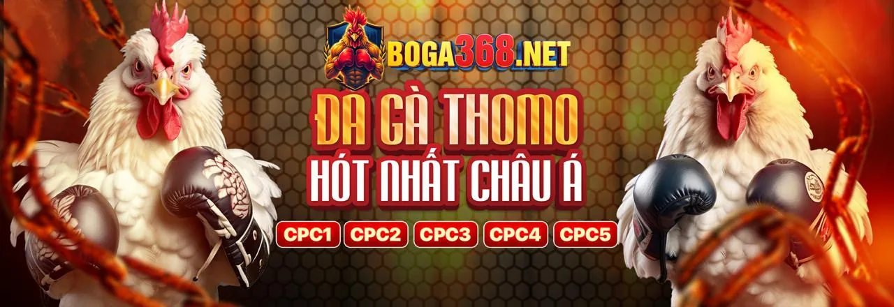 Sân vận động bóng đá với ánh đèn rực rỡ và logo v8bet nổ hũ